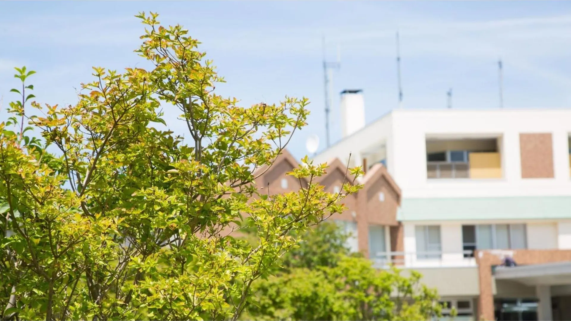 Hotel Keipu - Vacation Stay 11145V 하코다테 일본